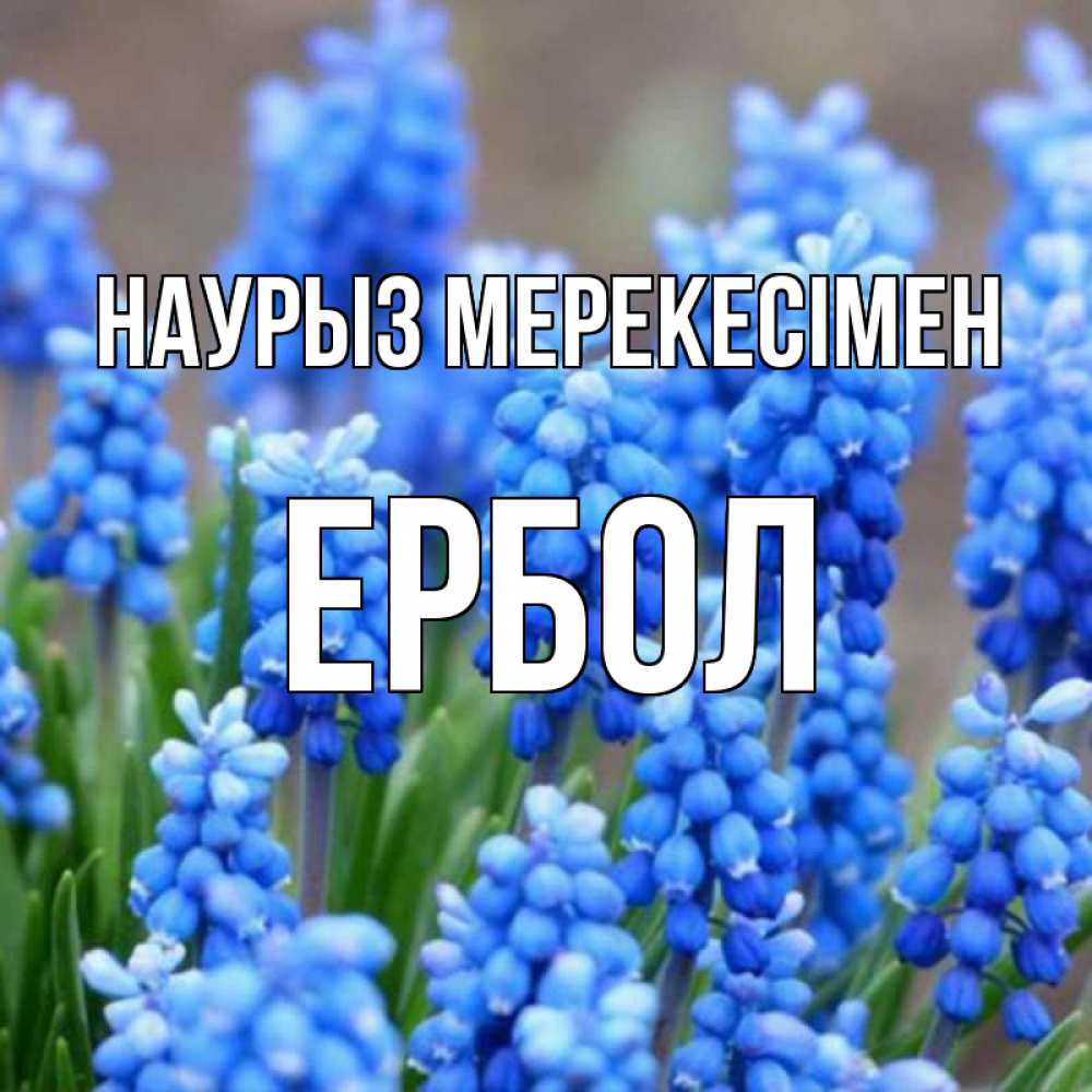 Күн сайын ашық хат с именем, Ербол Наурыз мерекесімен Поздравительная открытка для женщин с цветами на праздничную дату Онлайн тегін жүктеп алу тілектері бар керемет карта 