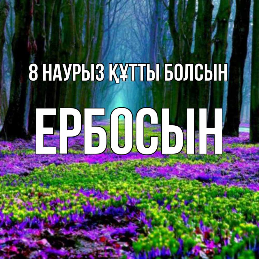 Күн сайын ашық хат с именем, Ербосын 8 наурыз құтты болсын фиолетовые цветы в лесу 1 Онлайн тегін жүктеп алу тілектері бар керемет карта 