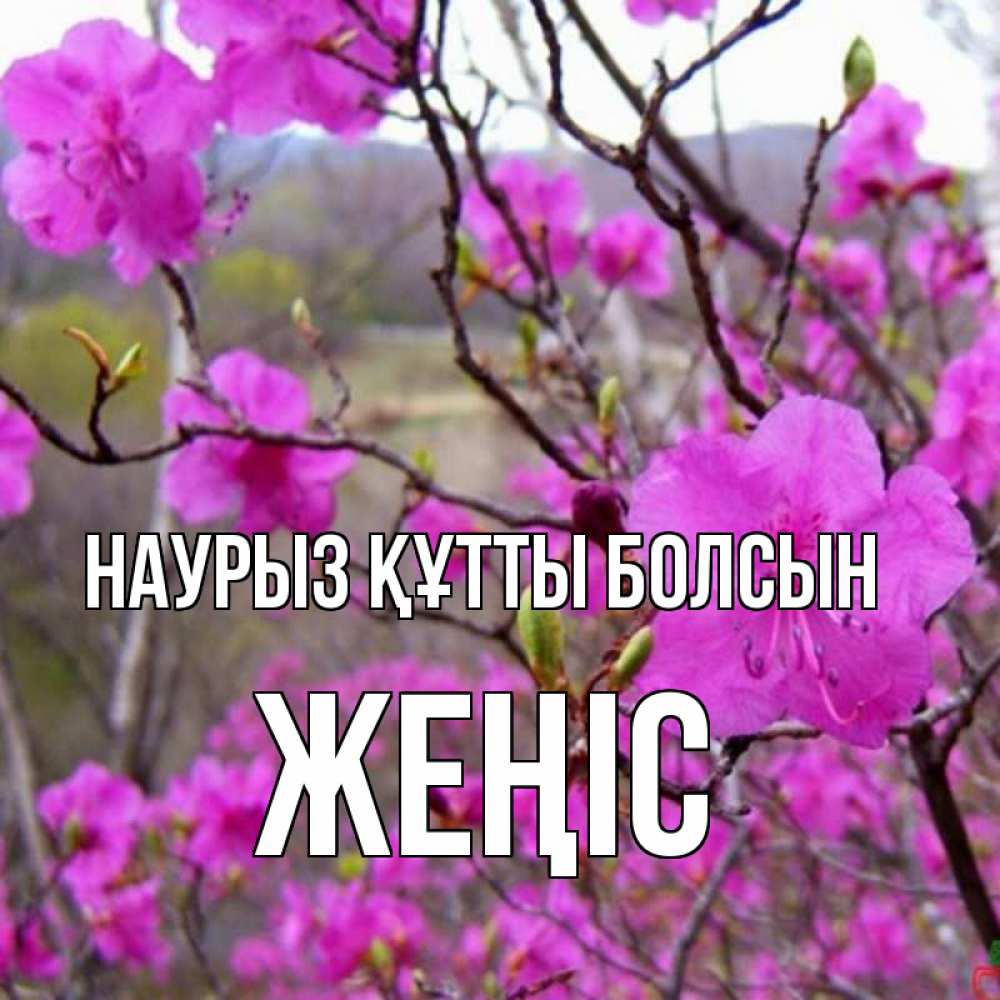 Күн сайын ашық хат с именем, Жеңіс Наурыз құтты болсын наурыз мейрамы кутты болсын Онлайн тегін жүктеп алу тілектері бар керемет карта 