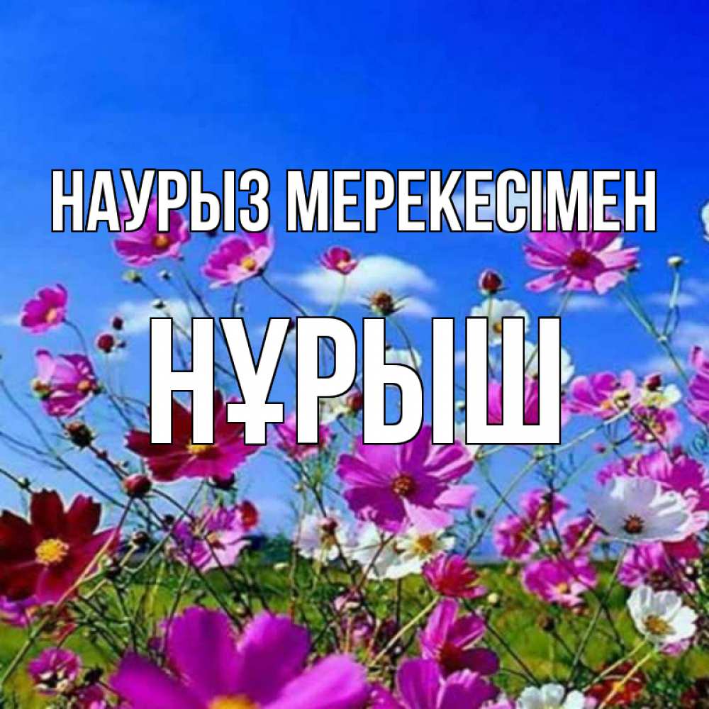 Күн сайын ашық хат с именем, Нұрыш Наурыз мерекесімен цветы Онлайн тегін жүктеп алу тілектері бар керемет карта 