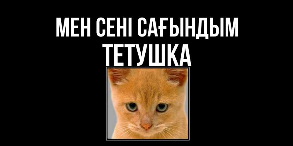 Күн сайын ашық хат с именем, Тетушка Мен сені сағындым открытки рыжий котенок скучает по тебе Онлайн тегін жүктеп алу тілектері бар керемет карта 
