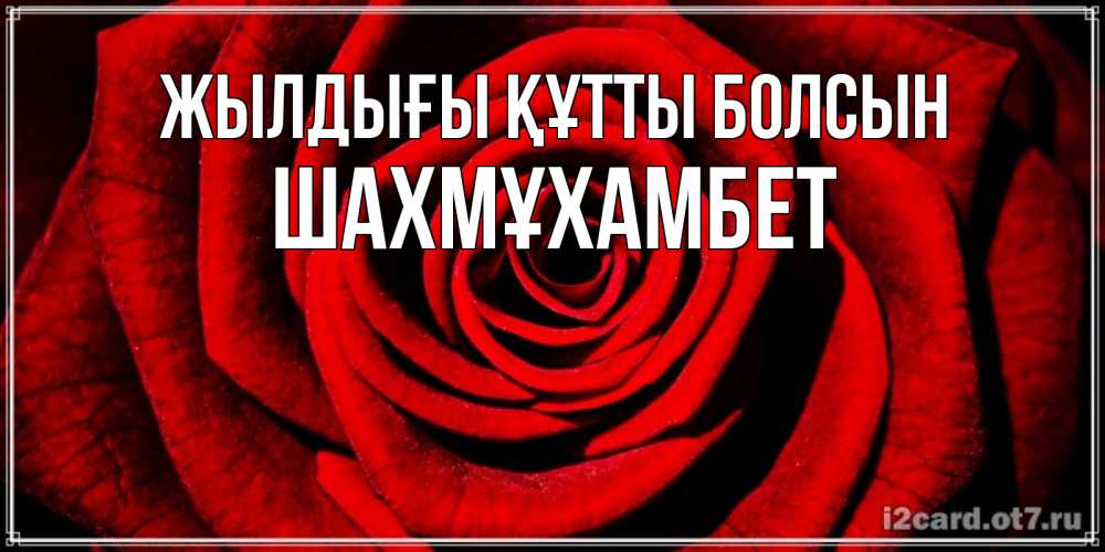Күн сайын ашық хат с именем, ШАХМҰХАМБЕТ Жылдығы құтты болсын алая роза Онлайн тегін жүктеп алу тілектері бар керемет карта 