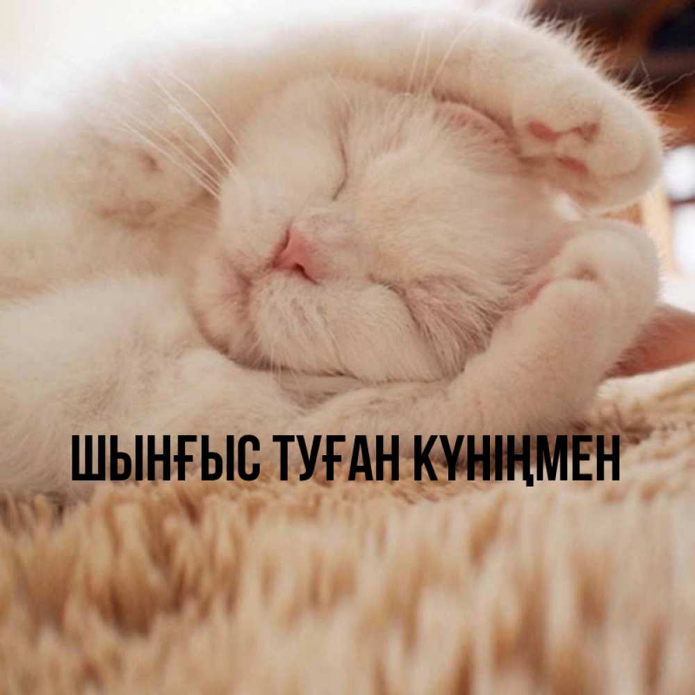 Картинка  с именем , ШЫНҒЫС! ТУҒАН КҮНІҢМЕН!