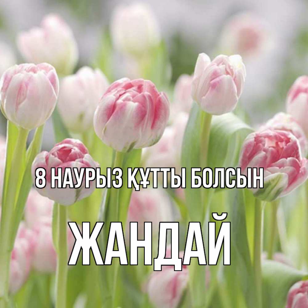 Күн сайын ашық хат с именем, Жандай 8 наурыз құтты болсын цветы Онлайн тегін жүктеп алу тілектері бар керемет карта 