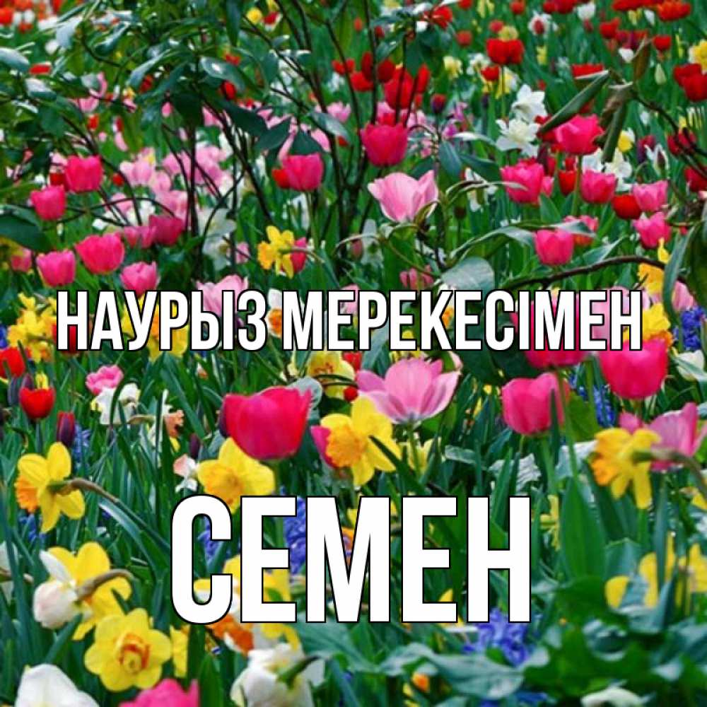 Күн сайын ашық хат с именем, Семен Наурыз мерекесімен с наурызом праздником весны поздравления для женщины Онлайн тегін жүктеп алу тілектері бар керемет карта 