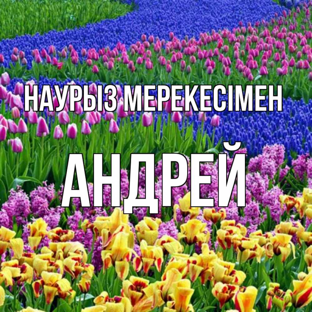Күн сайын ашық хат с именем, Андрей Наурыз мерекесімен цветы Онлайн тегін жүктеп алу тілектері бар керемет карта 