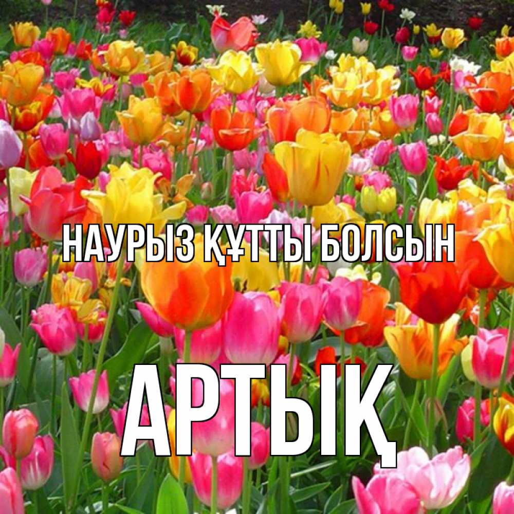 Күн сайын ашық хат с именем, Артық Наурыз құтты болсын на наурыз  ура ура Онлайн тегін жүктеп алу тілектері бар керемет карта 