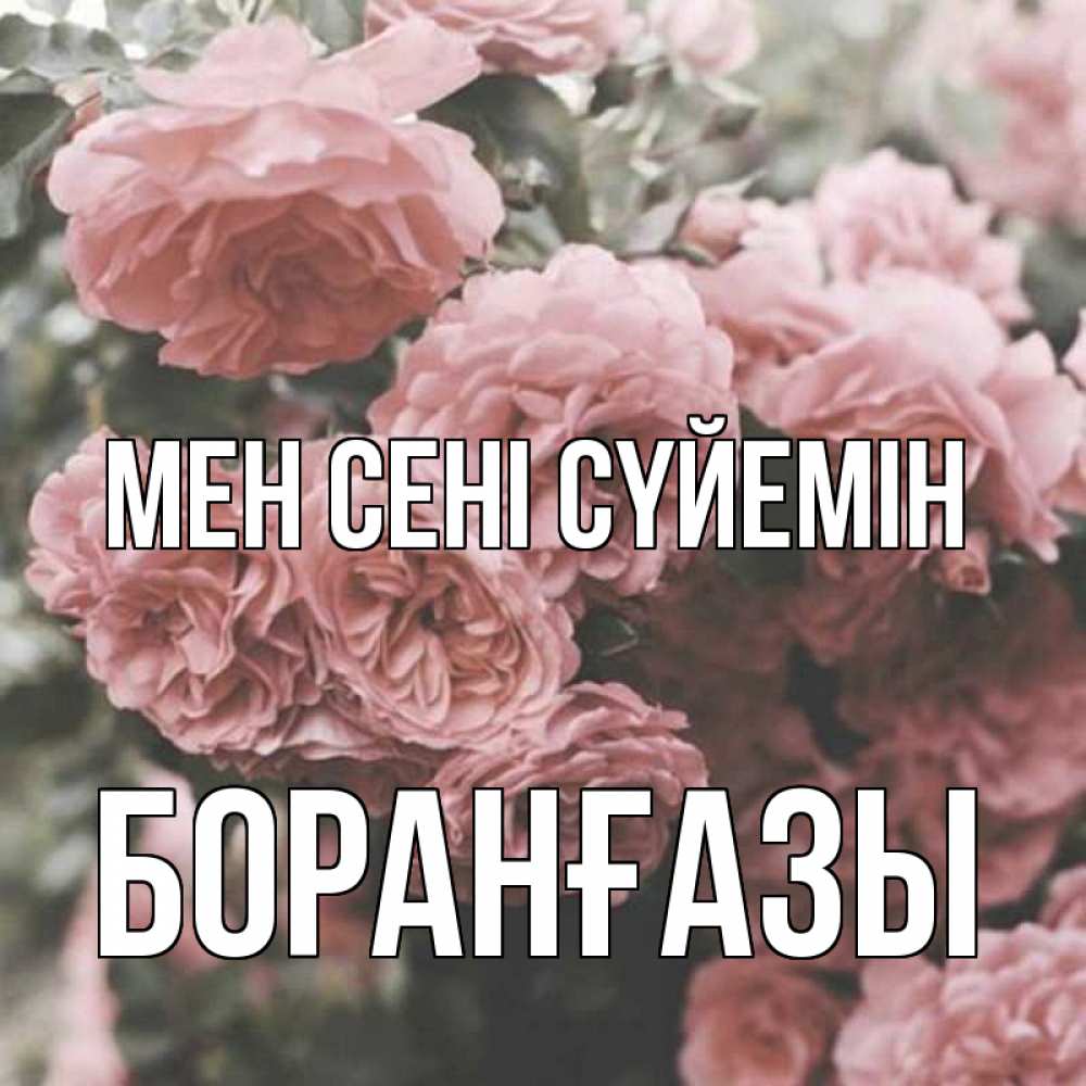Күн сайын ашық хат с именем, Боранғазы Мен сені сүйемін розы 3 Онлайн тегін жүктеп алу тілектері бар керемет карта 