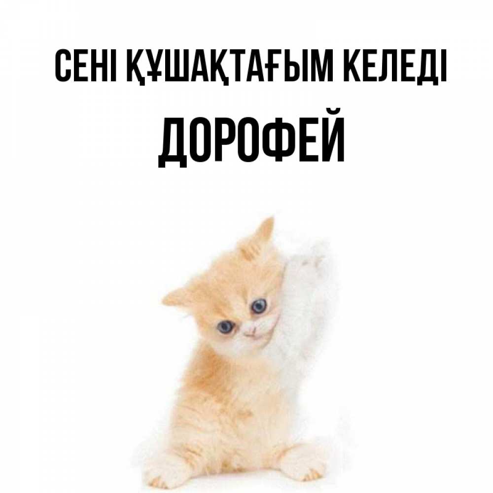 Күн сайын ашық хат с именем, Дорофей сені құшақтағым келеді я хочу очень скорее обнимаешек Онлайн тегін жүктеп алу тілектері бар керемет карта 