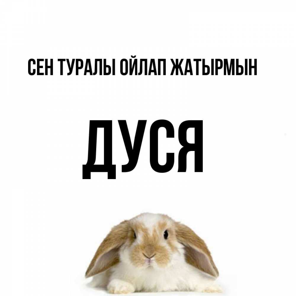Күн сайын ашық хат с именем, Дуся Сен туралы ойлап жатырмын подписать своими руками онлайн Онлайн тегін жүктеп алу тілектері бар керемет карта 