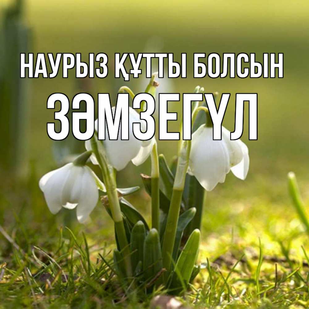 Күн сайын ашық хат с именем, ЗӘМЗЕГҮЛ Наурыз құтты болсын ранние цветы 2 Онлайн тегін жүктеп алу тілектері бар керемет карта 