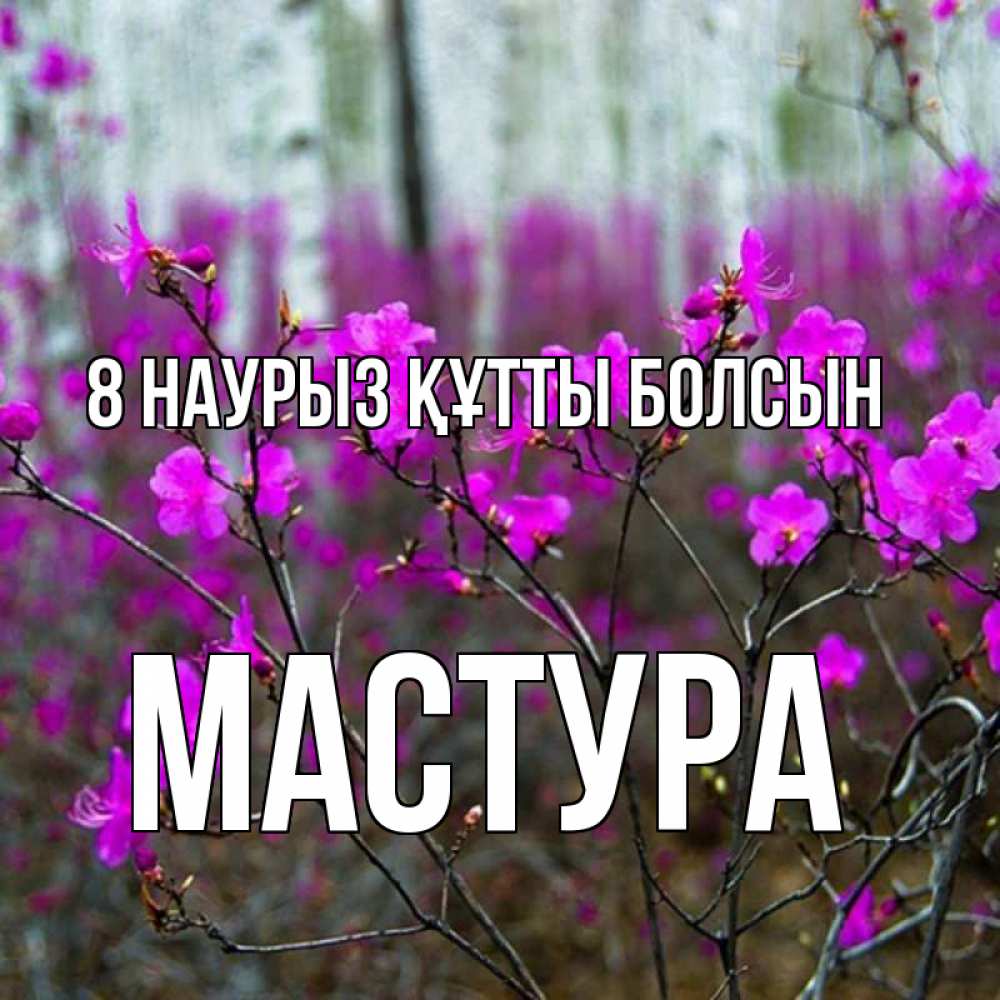 Күн сайын ашық хат с именем, МАСТУРА 8 наурыз құтты болсын дикие цветы Онлайн тегін жүктеп алу тілектері бар керемет карта 