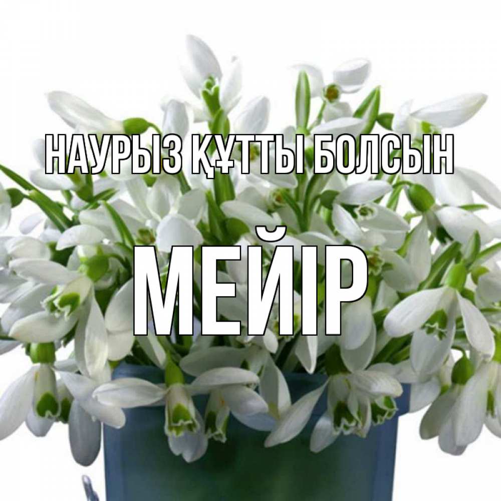 Күн сайын ашық хат с именем, МЕЙІР Наурыз құтты болсын цветы к наурызу Онлайн тегін жүктеп алу тілектері бар керемет карта 