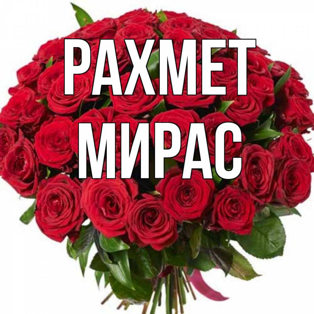 Күн сайын ашық хат с именем, МИРАС рахмет букет красных роз Онлайн тегін жүктеп алу тілектері бар керемет карта 