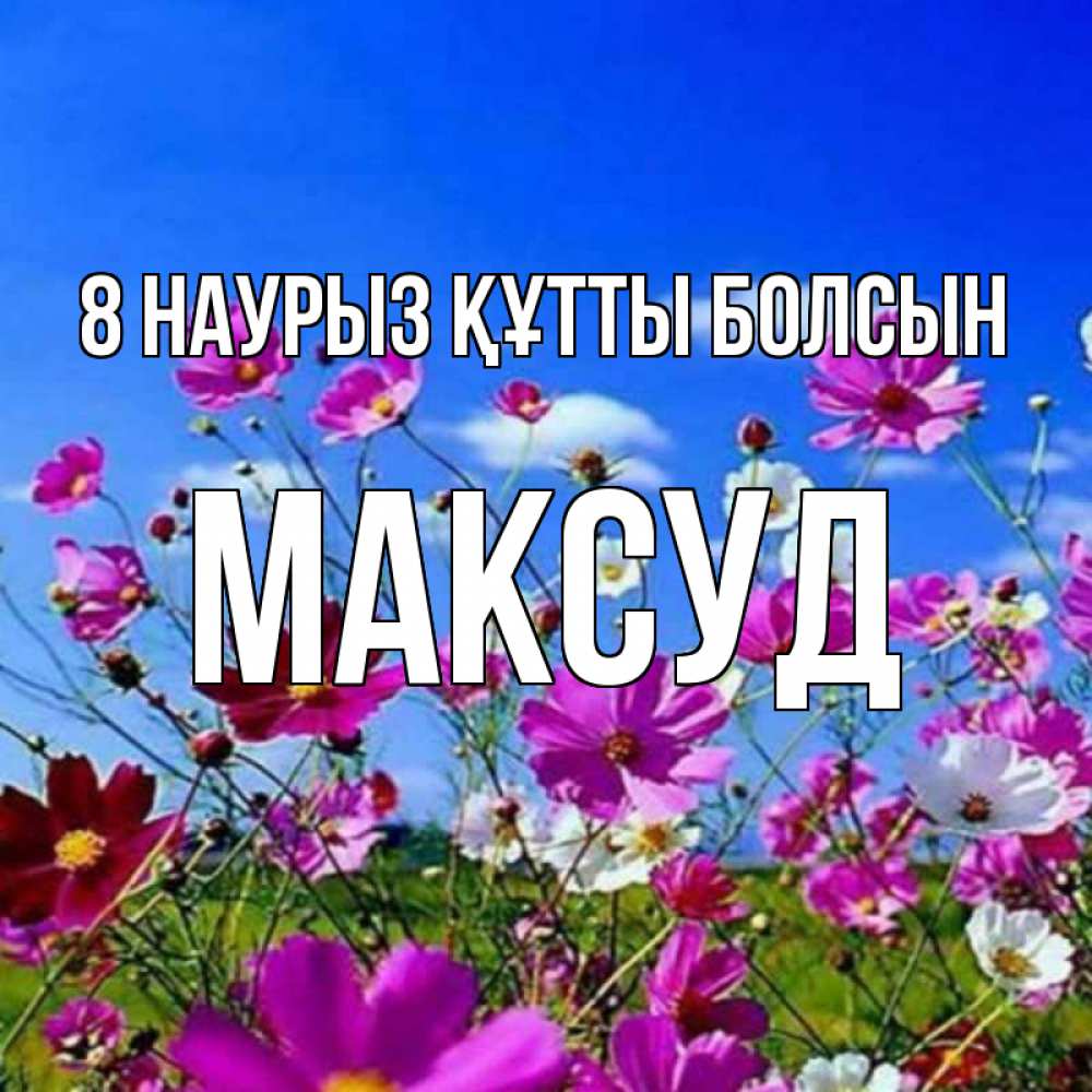 Күн сайын ашық хат с именем, Максуд 8 наурыз құтты болсын цветы Онлайн тегін жүктеп алу тілектері бар керемет карта 