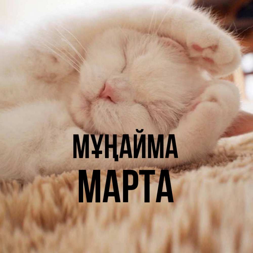 Күн сайын ашық хат с именем, Марта Мұңайма Котенок спит Онлайн тегін жүктеп алу тілектері бар керемет карта 