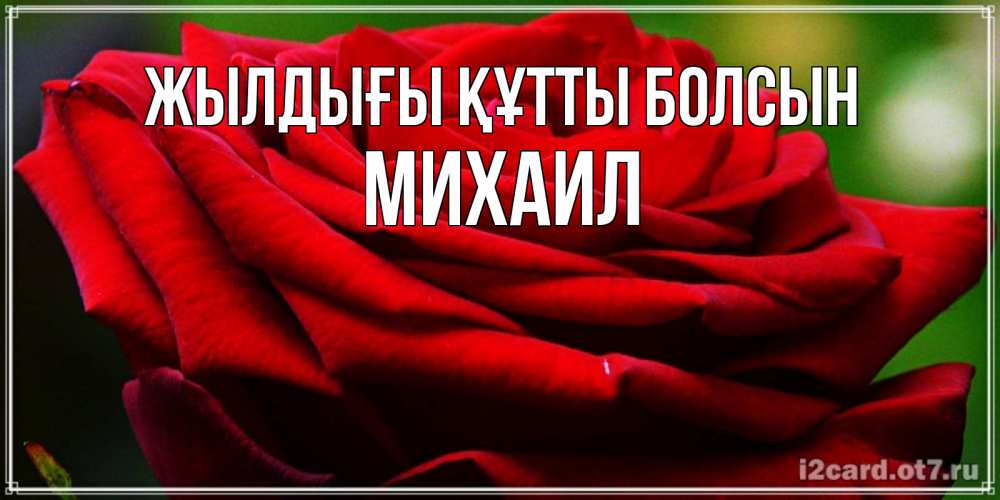 Күн сайын ашық хат с именем, Михаил Жылдығы құтты болсын розочка очень красивая Онлайн тегін жүктеп алу тілектері бар керемет карта 