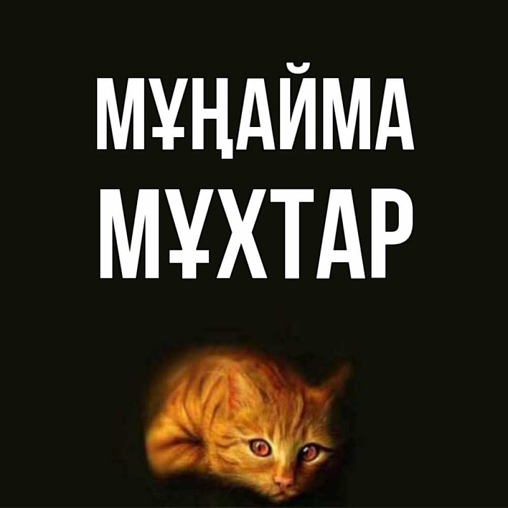 Күн сайын ашық хат с именем, МҰХТАР Мұңайма лежащий кот в темноте Онлайн тегін жүктеп алу тілектері бар керемет карта 