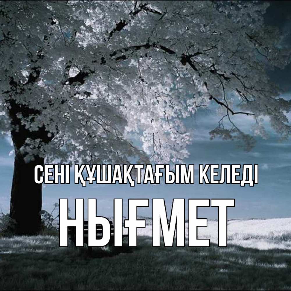 Күн сайын ашық хат с именем, НЫҒМЕТ сені құшақтағым келеді дерево Онлайн тегін жүктеп алу тілектері бар керемет карта 