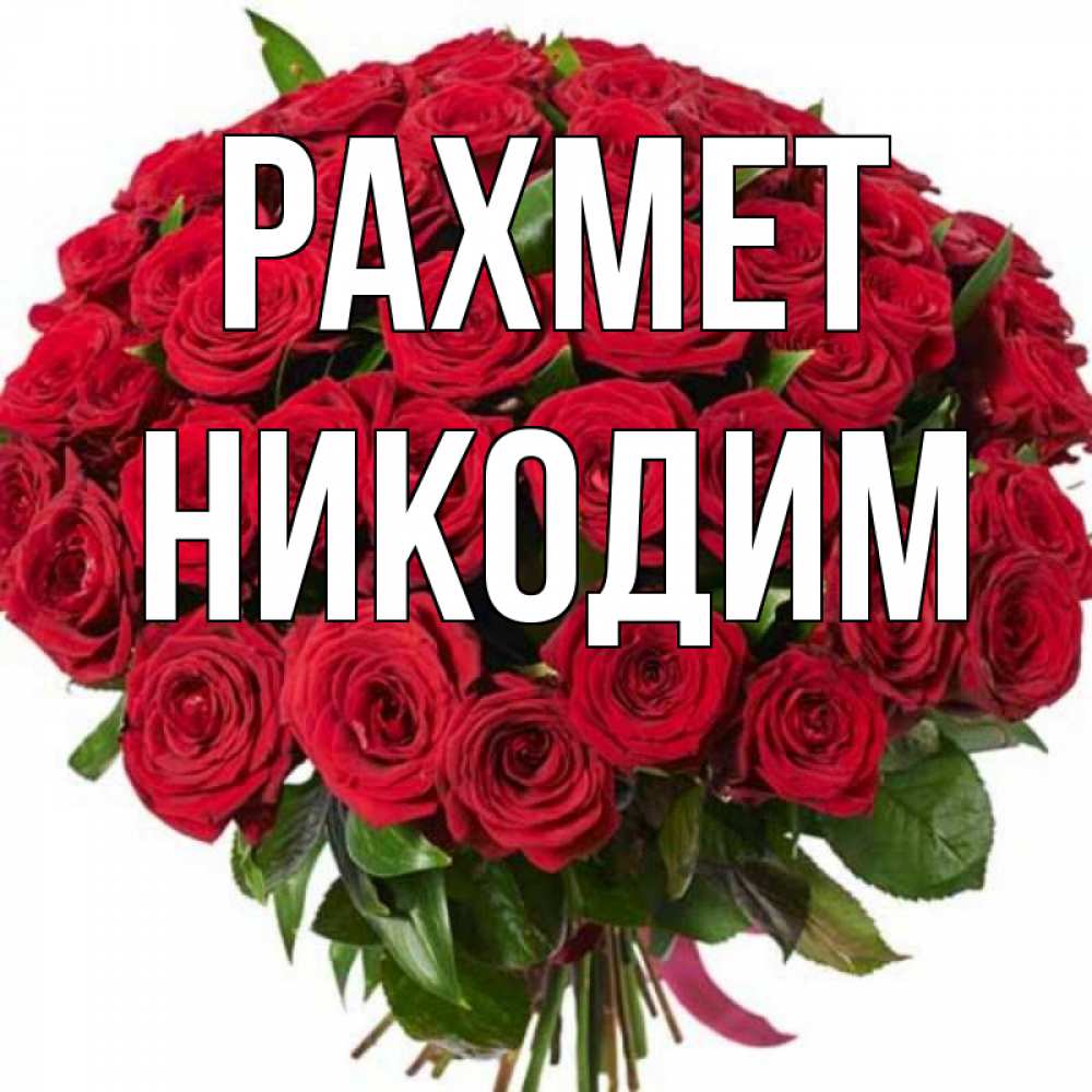 Күн сайын ашық хат с именем, Никодим рахмет букет красных роз Онлайн тегін жүктеп алу тілектері бар керемет карта 
