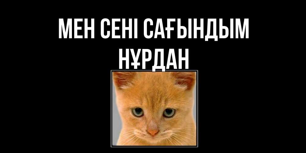 Күн сайын ашық хат с именем, НҰРДАН Мен сені сағындым открытки рыжий котенок скучает по тебе Онлайн тегін жүктеп алу тілектері бар керемет карта 