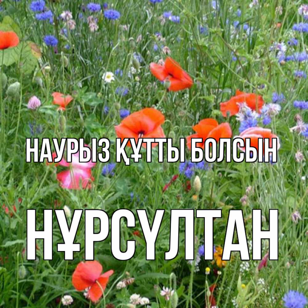 Күн сайын ашық хат с именем, НҰРСҮЛТАН Наурыз құтты болсын наурыз  4 Онлайн тегін жүктеп алу тілектері бар керемет карта 