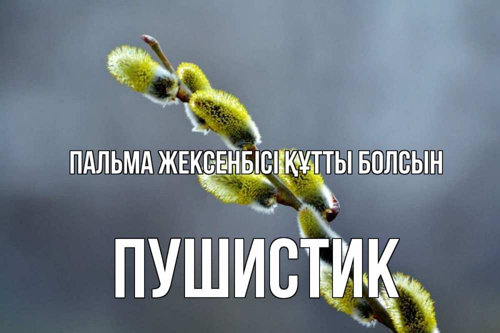 Күн сайын ашық хат с именем, Пушистик Пальма жексенбісі құтты болсын верба Онлайн тегін жүктеп алу тілектері бар керемет карта 