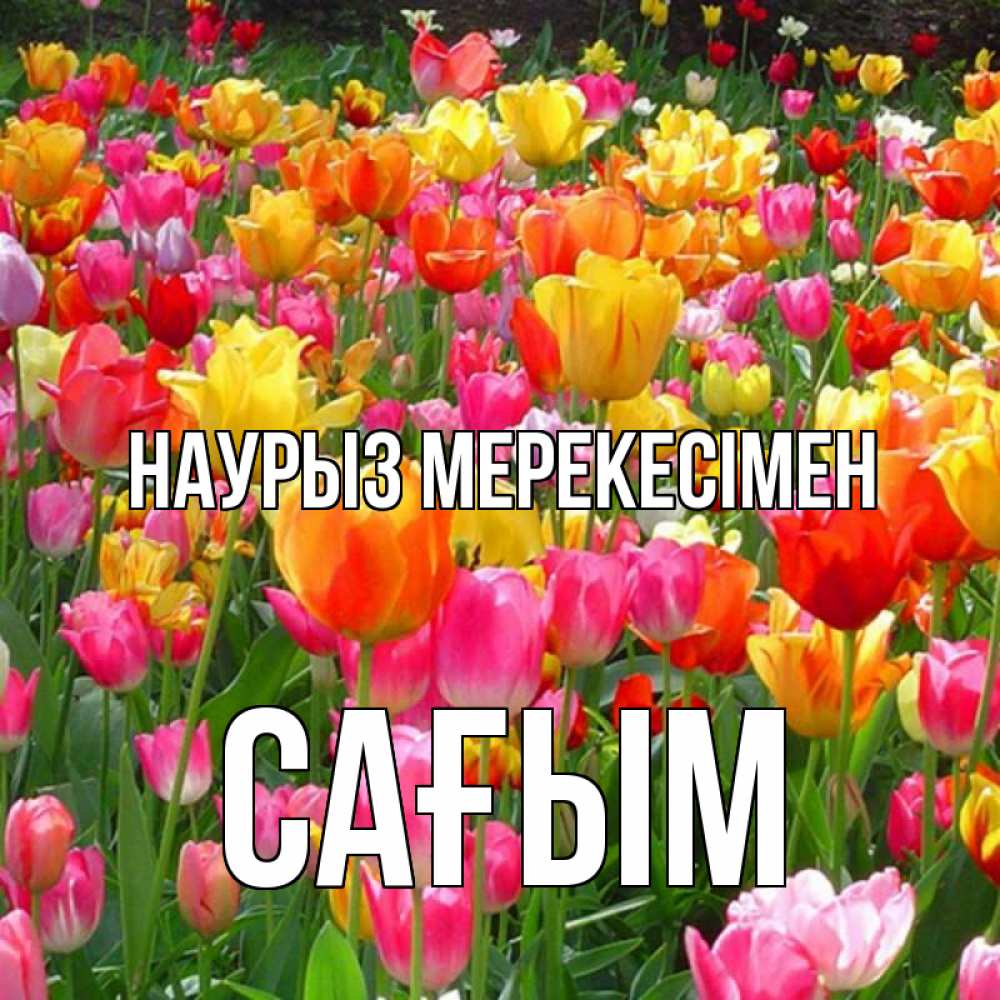 Күн сайын ашық хат с именем, САҒЫМ Наурыз мерекесімен праздник весны наурыз 4 Онлайн тегін жүктеп алу тілектері бар керемет карта 