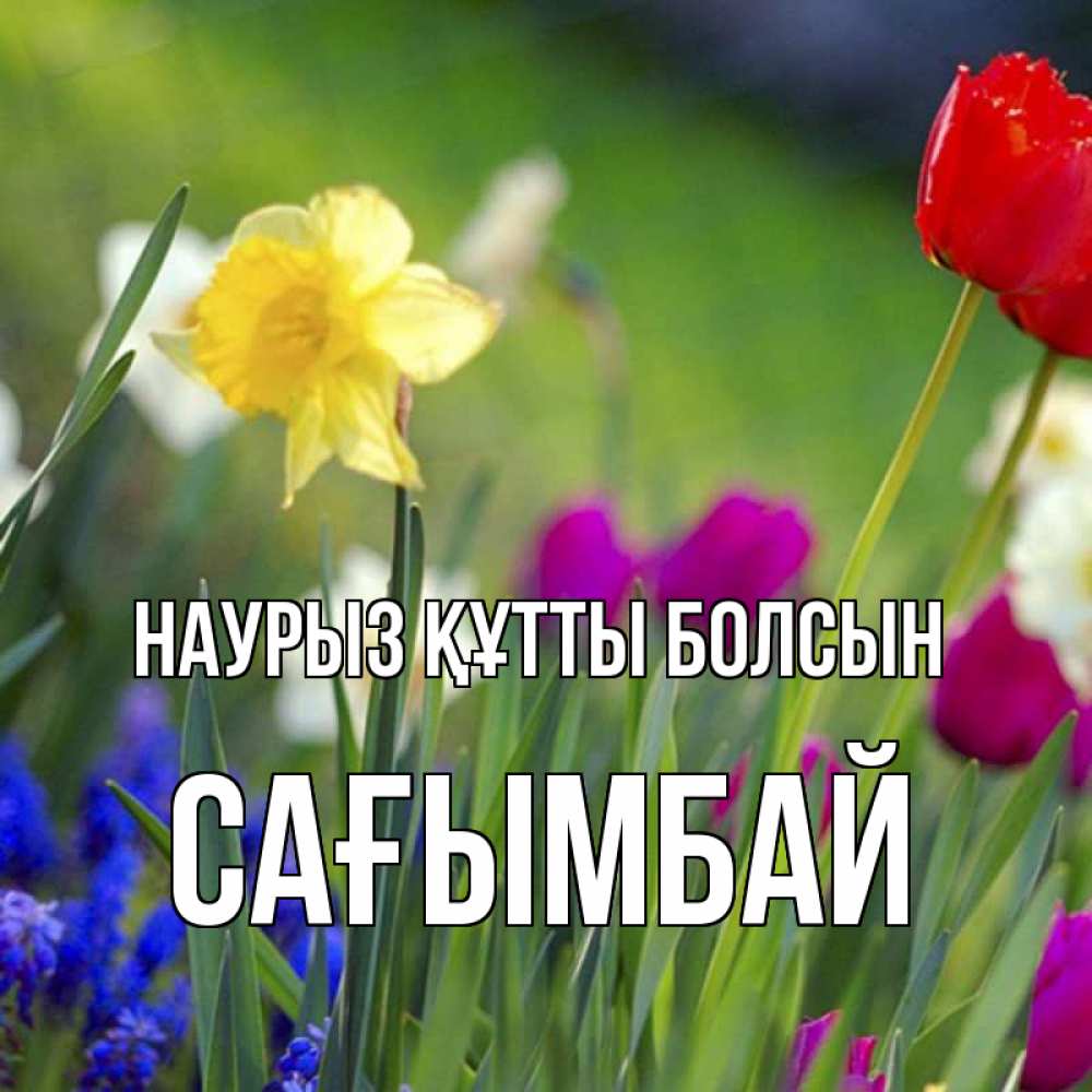 Күн сайын ашық хат с именем, Сағымбай Наурыз құтты болсын наурыз  3 открытки Онлайн тегін жүктеп алу тілектері бар керемет карта 