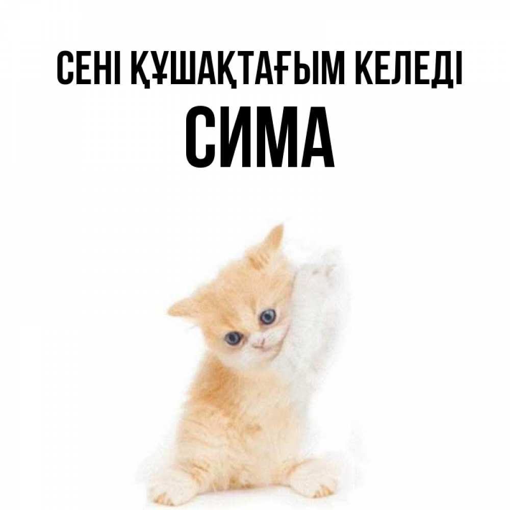 Күн сайын ашық хат с именем, Сима сені құшақтағым келеді я хочу очень скорее обнимаешек Онлайн тегін жүктеп алу тілектері бар керемет карта 