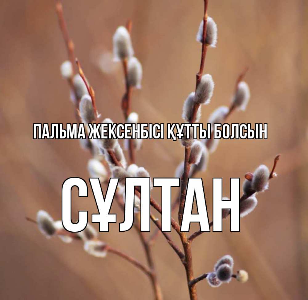 Күн сайын ашық хат с именем, СҰЛТАН Пальма жексенбісі құтты болсын верба Онлайн тегін жүктеп алу тілектері бар керемет карта 