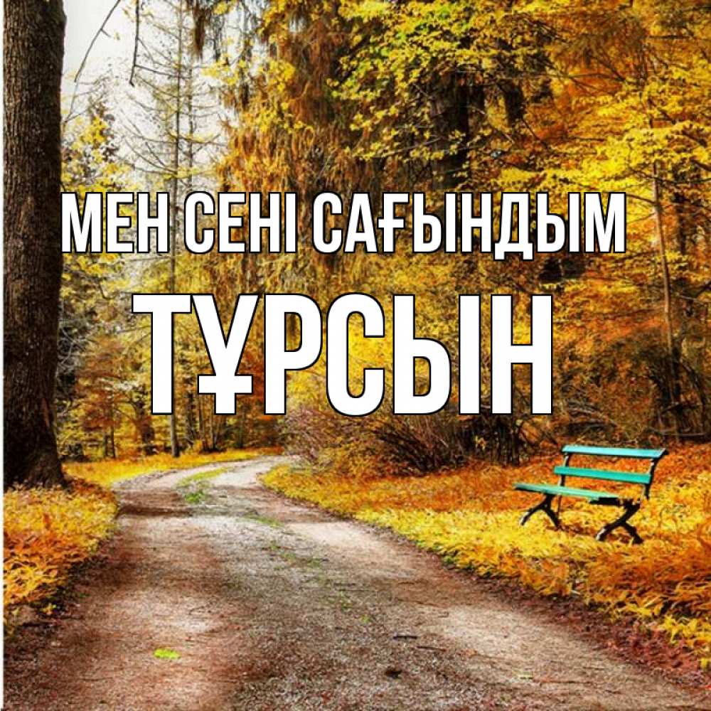 Күн сайын ашық хат с именем, ТҰРСЫН Мен сені сағындым зеленая лавочка и осенний лес Онлайн тегін жүктеп алу тілектері бар керемет карта 