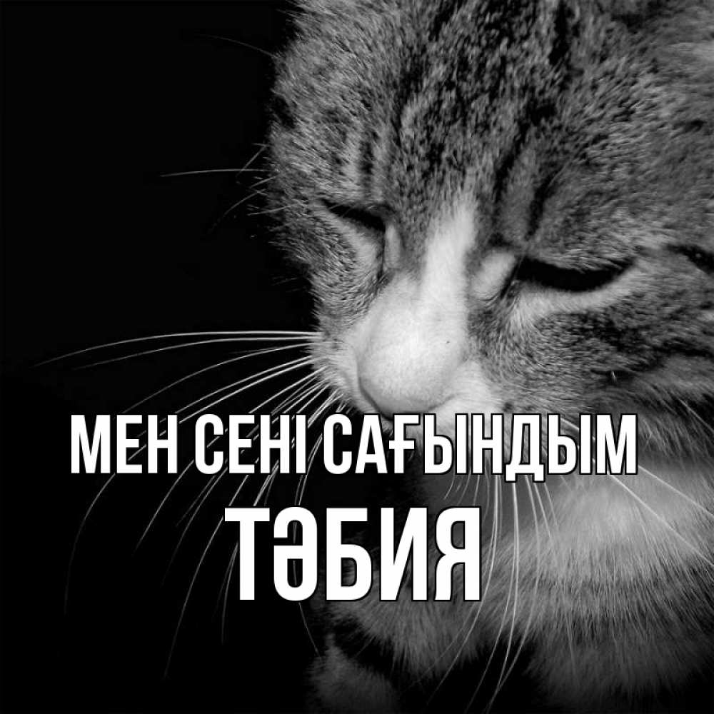 Күн сайын ашық хат с именем, ТӘБИЯ Мен сені сағындым мне скучно Онлайн тегін жүктеп алу тілектері бар керемет карта 