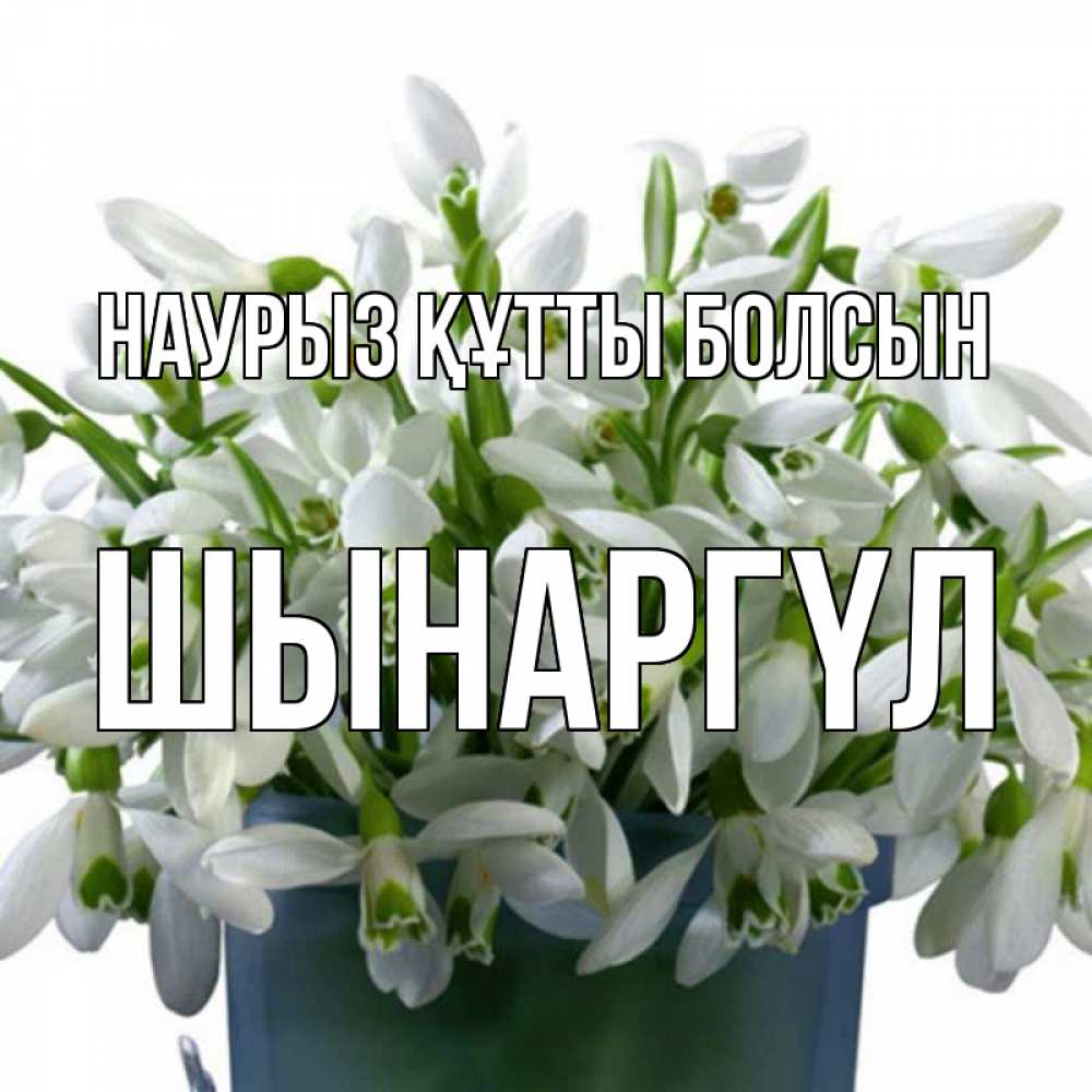 Күн сайын ашық хат с именем, ШЫНАРГҮЛ Наурыз құтты болсын цветы к наурызу Онлайн тегін жүктеп алу тілектері бар керемет карта 