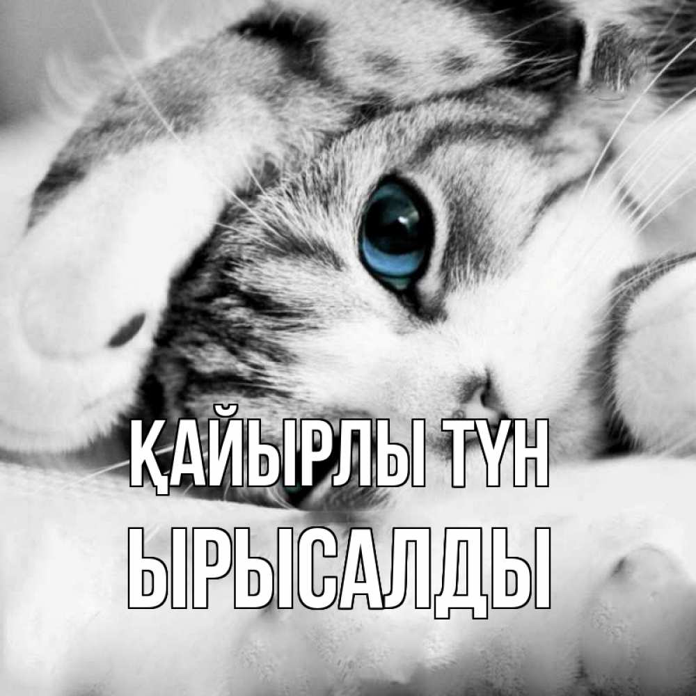 Күн сайын ашық хат с именем, ЫРЫСАЛДЫ Қайырлы түн кот устал Онлайн тегін жүктеп алу тілектері бар керемет карта 