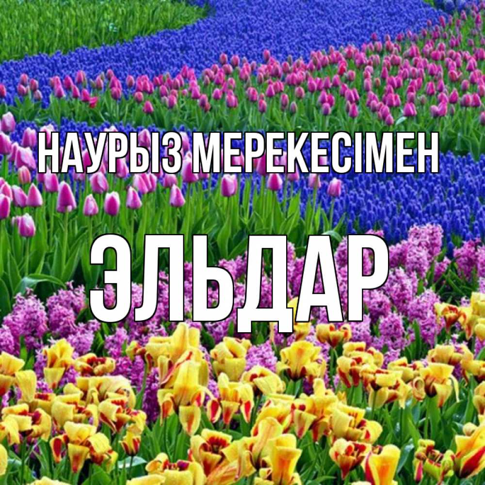 Күн сайын ашық хат с именем, Эльдар Наурыз мерекесімен цветы Онлайн тегін жүктеп алу тілектері бар керемет карта 