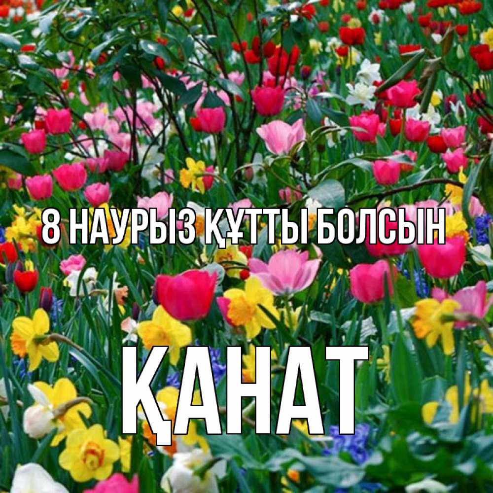 Күн сайын ашық хат с именем, Қанат 8 наурыз құтты болсын с международным женским днем поздравления для женщины Онлайн тегін жүктеп алу тілектері бар керемет карта 