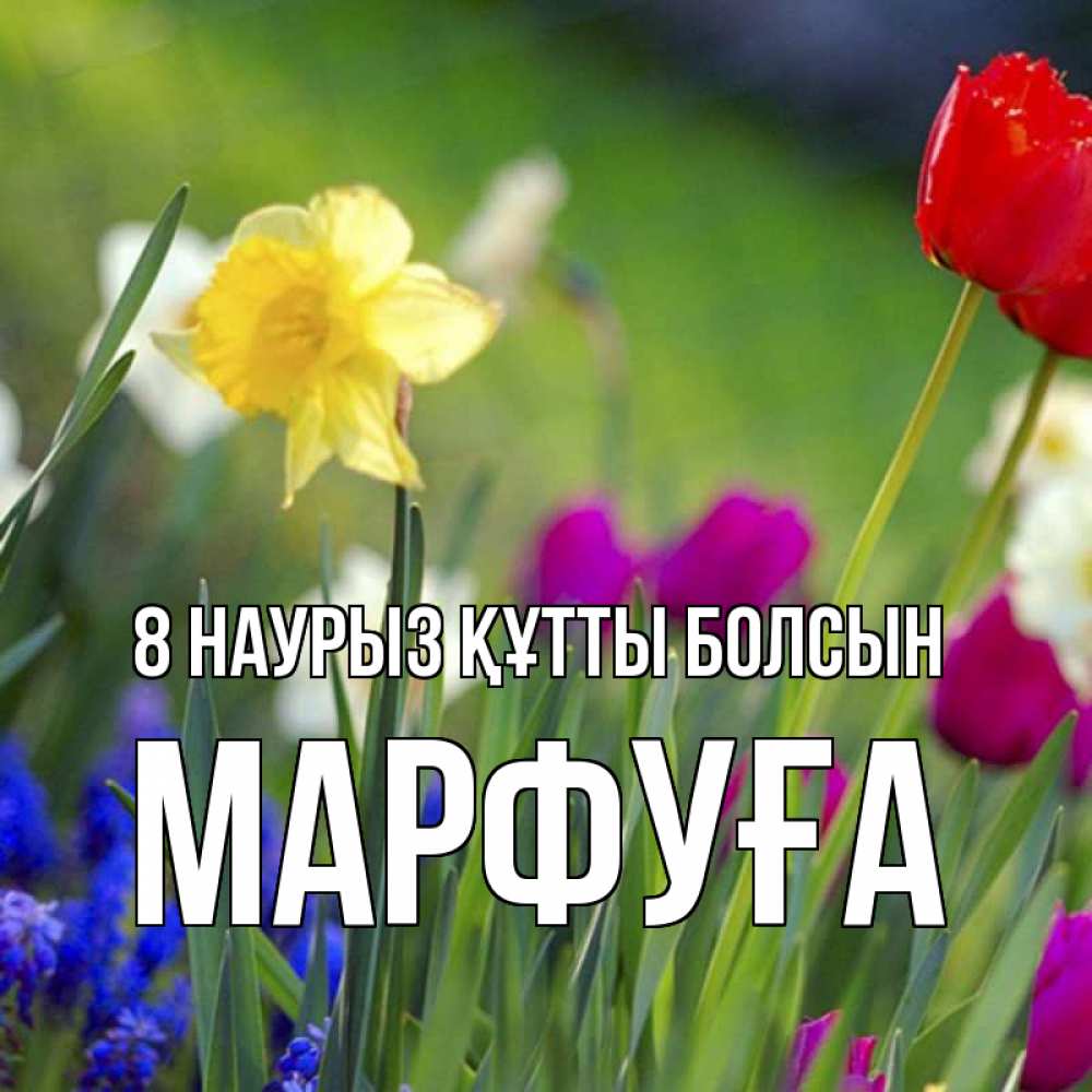 Күн сайын ашық хат с именем, МАРФУҒА 8 наурыз құтты болсын международный женский день 3 Онлайн тегін жүктеп алу тілектері бар керемет карта 