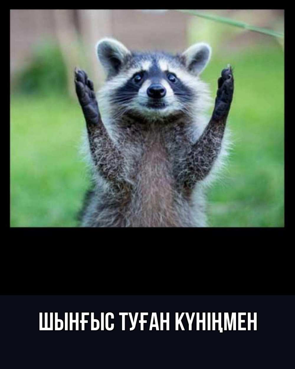 Картинка  с именем , ШЫНҒЫС! ТУҒАН КҮНІҢМЕН!