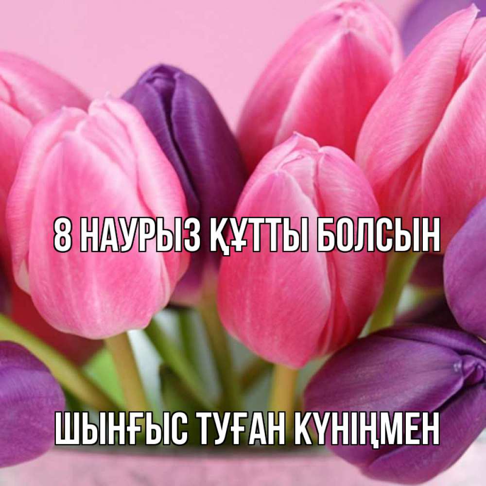 Картинка 8 наурыз құтты болсын, ШЫНҒЫС! ТУҒАН КҮНІҢМЕН!