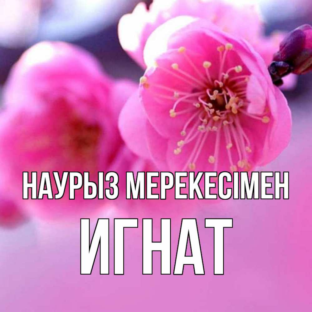Күн сайын ашық хат с именем, Игнат Наурыз мерекесімен международный женский день Онлайн тегін жүктеп алу тілектері бар керемет карта 