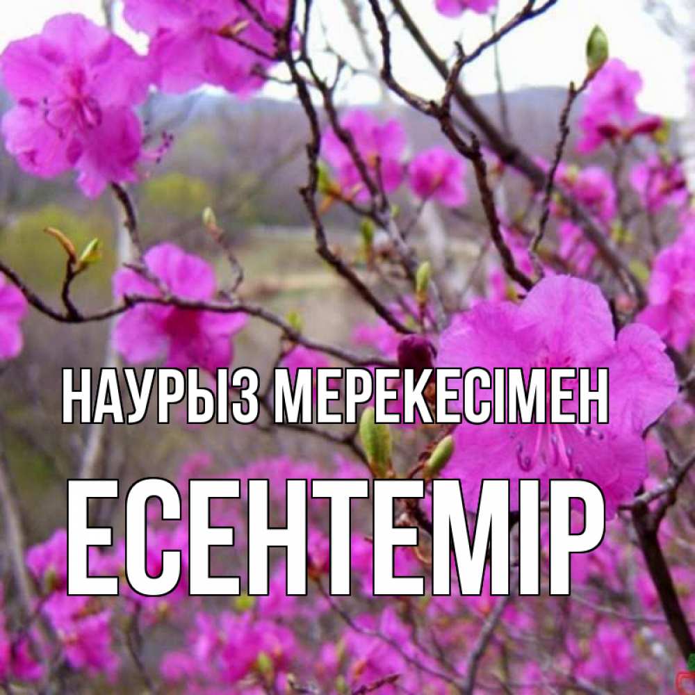 Күн сайын ашық хат с именем, Есентемір Наурыз мерекесімен праздник весны наурыз Онлайн тегін жүктеп алу тілектері бар керемет карта 