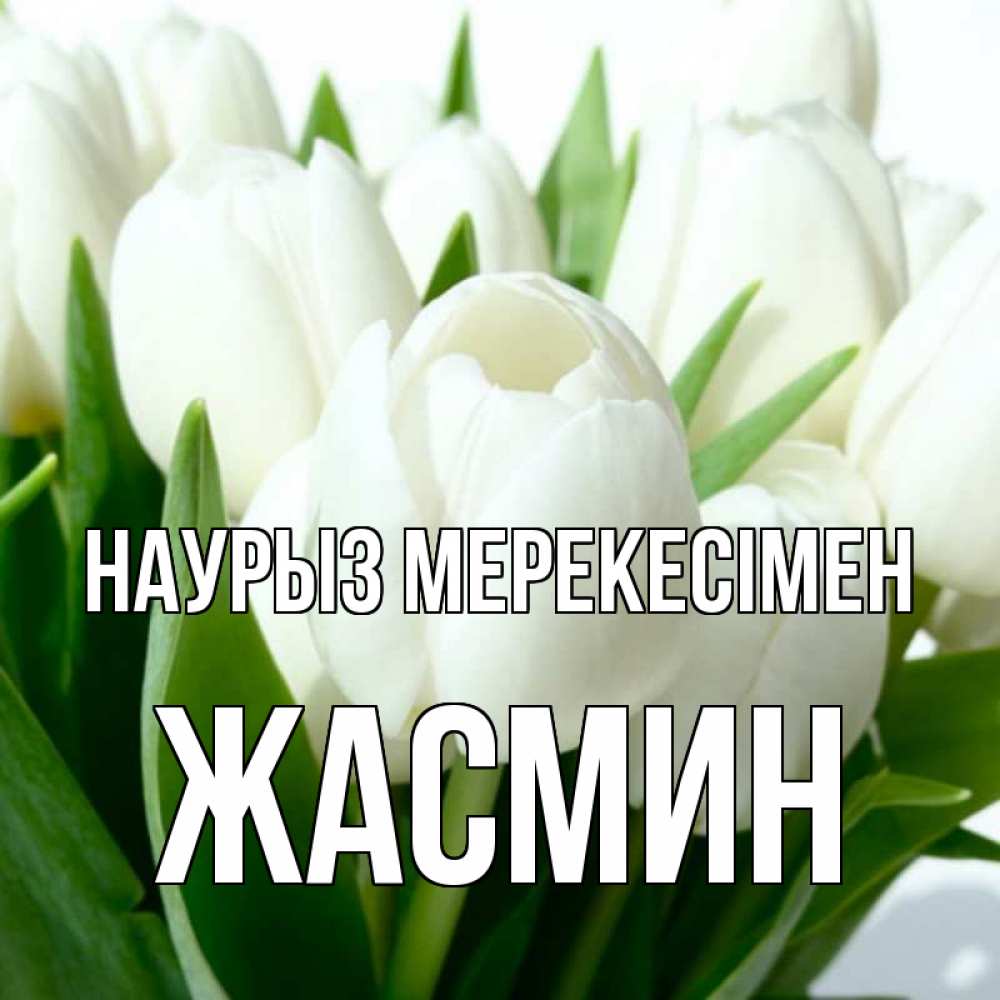 Күн сайын ашық хат с именем, Жасмин Наурыз мерекесімен цветы Онлайн тегін жүктеп алу тілектері бар керемет карта 