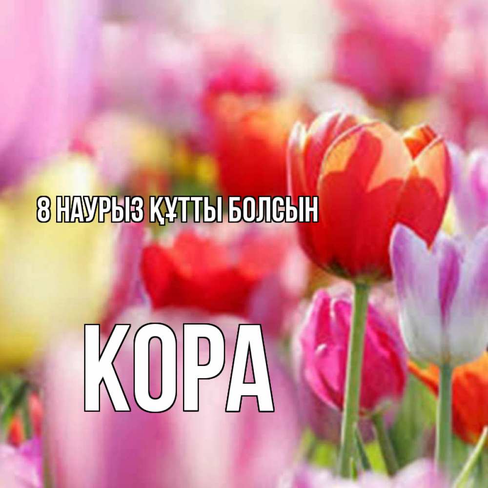 Күн сайын ашық хат с именем, Кора 8 наурыз құтты болсын на международный женский день 2 Онлайн тегін жүктеп алу тілектері бар керемет карта 