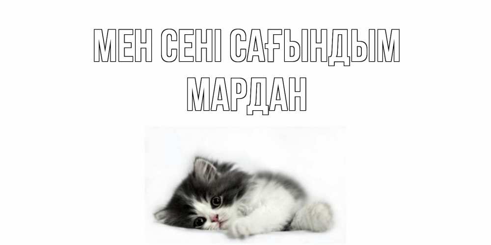 Күн сайын ашық хат с именем, МАРДАН Мен сені сағындым кот, скука Онлайн тегін жүктеп алу тілектері бар керемет карта 