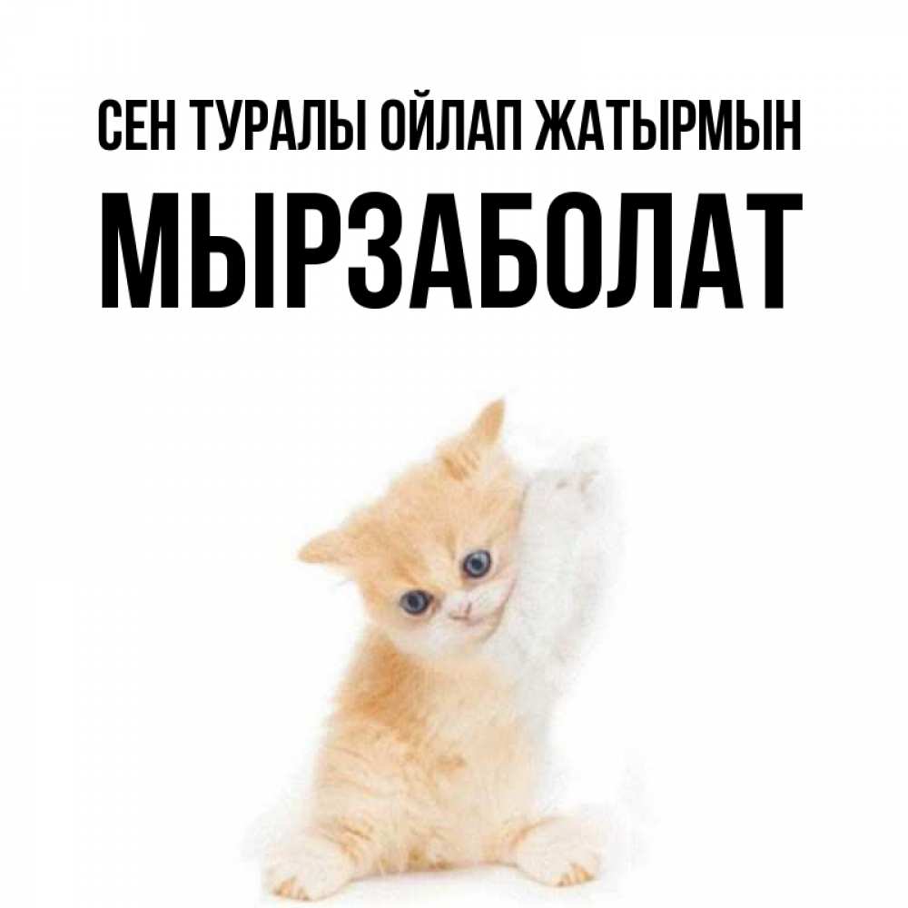 Күн сайын ашық хат с именем, Мырзаболат Сен туралы ойлап жатырмын зверушки и милота Онлайн тегін жүктеп алу тілектері бар керемет карта 