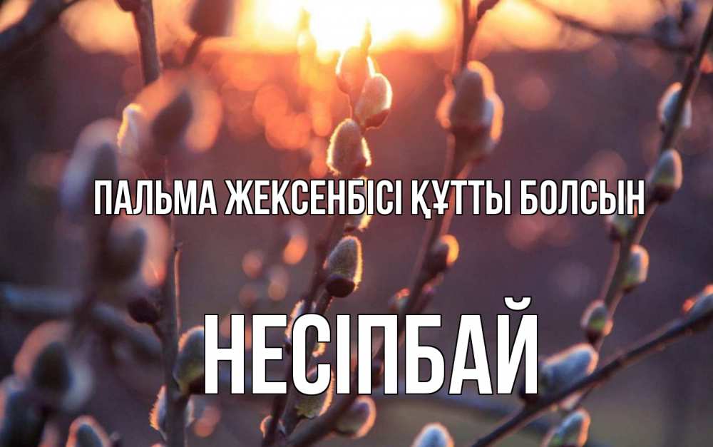 Күн сайын ашық хат с именем, НЕСІПБАЙ Пальма жексенбісі құтты болсын верба Онлайн тегін жүктеп алу тілектері бар керемет карта 