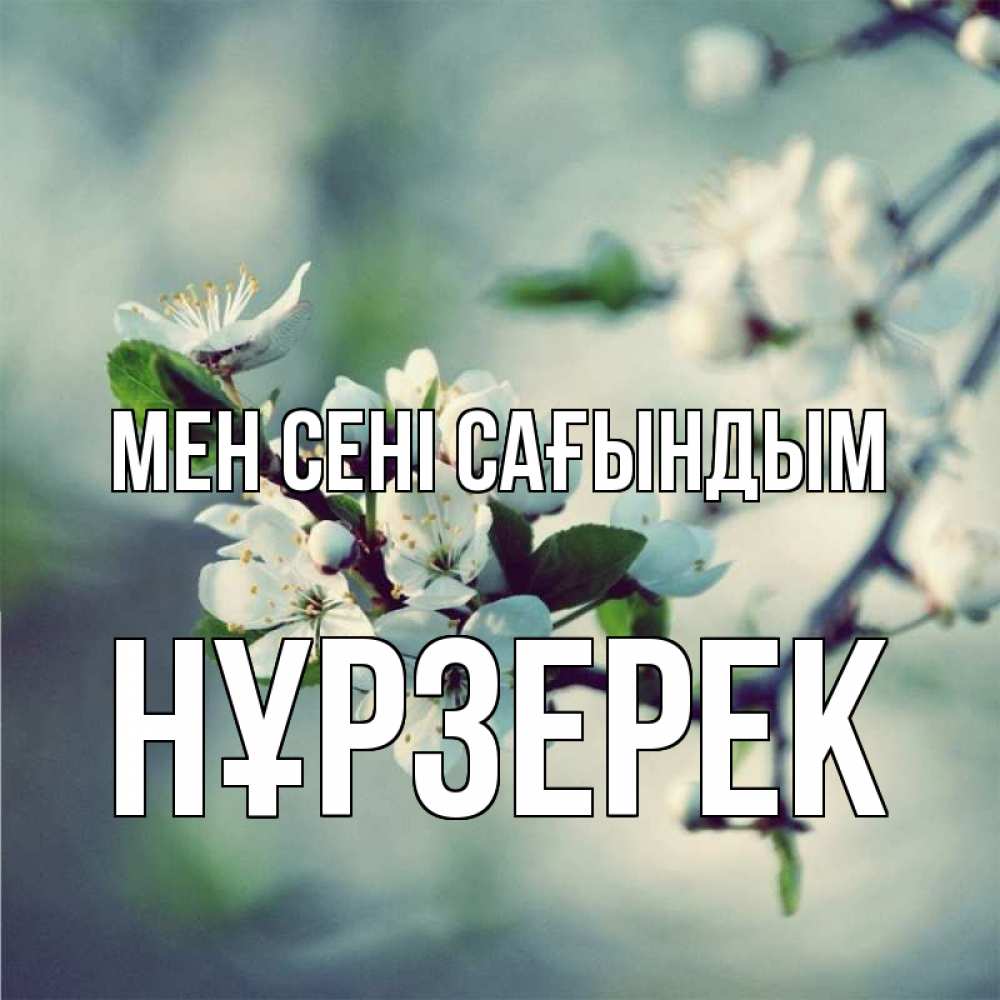 Күн сайын ашық хат с именем, НҰРЗЕРЕК Мен сені сағындым весна Онлайн тегін жүктеп алу тілектері бар керемет карта 