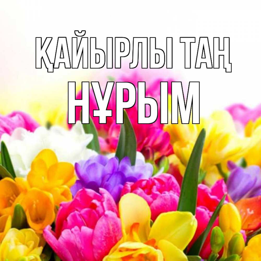 Күн сайын ашық хат с именем, Нұрым Қайырлы таң создать открытку со свое подписью Онлайн тегін жүктеп алу тілектері бар керемет карта 