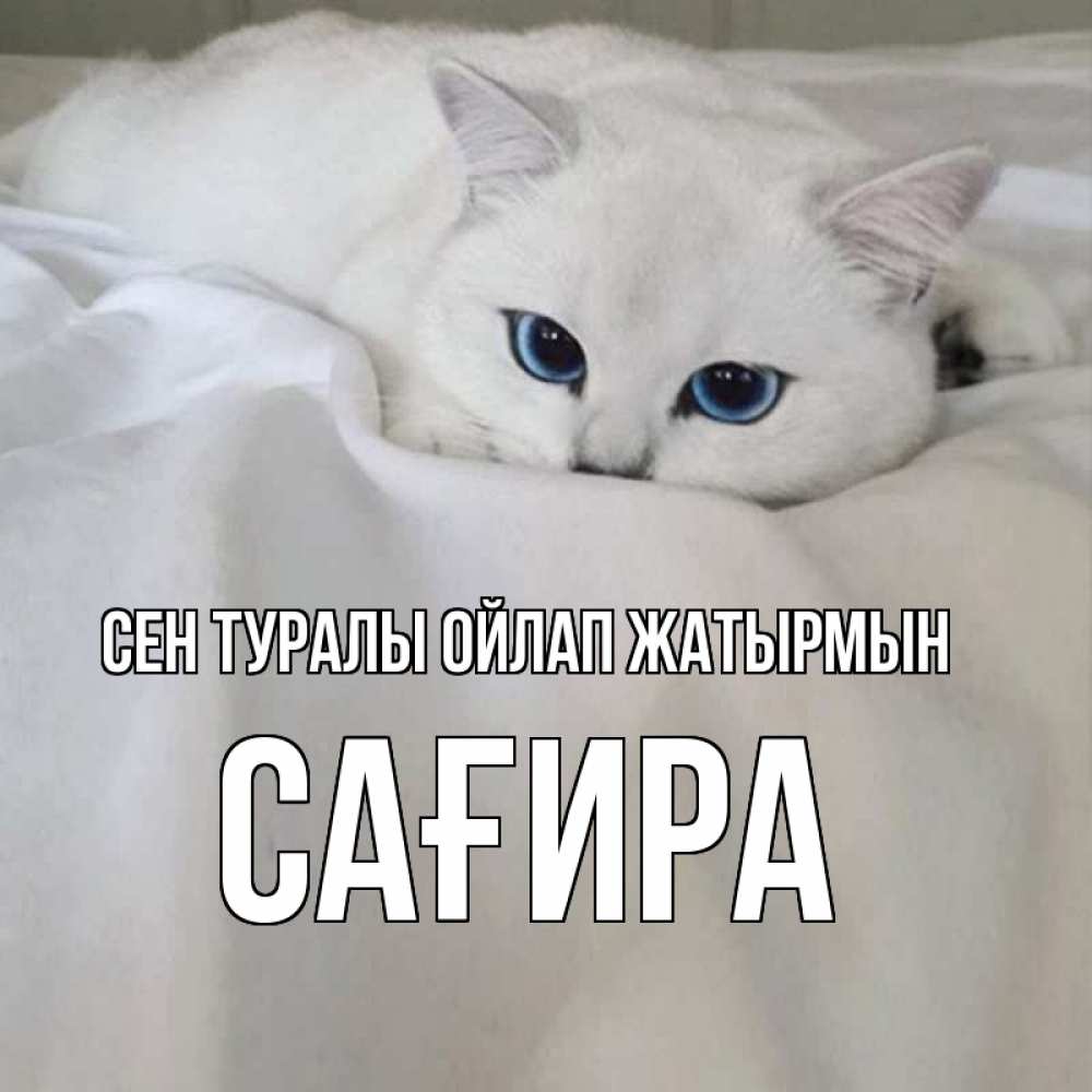 Күн сайын ашық хат с именем, САҒИРА Сен туралы ойлап жатырмын я очень по тебе скучаю и тоскую Онлайн тегін жүктеп алу тілектері бар керемет карта 